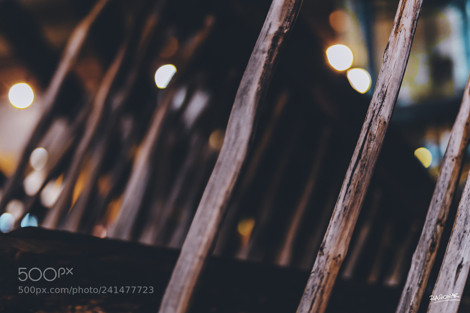 Canon EOS-1D X Mark II sample photo. Wood.jpg photography