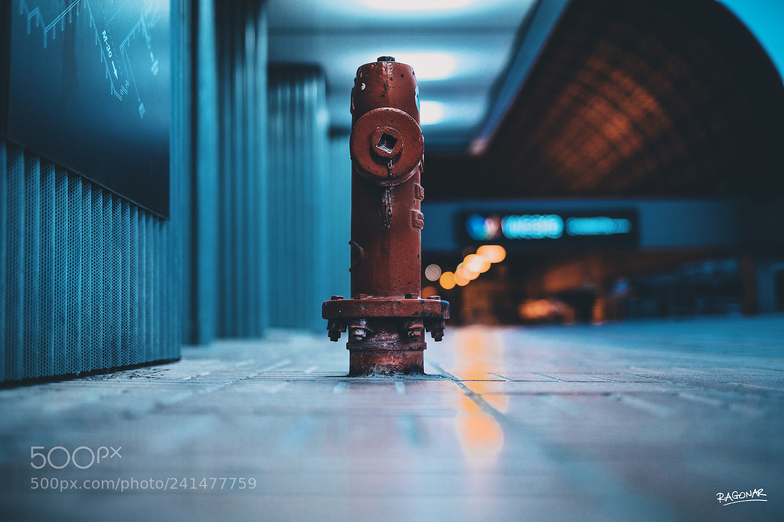 Canon EOS-1D X Mark II sample photo. Hydrant.jpg photography