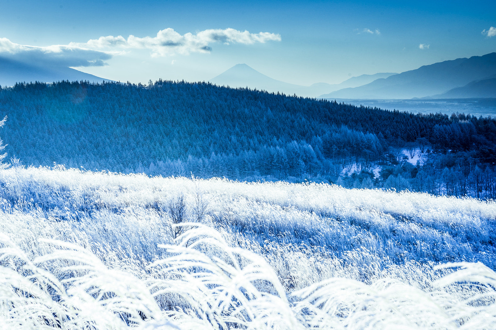 Sony a7 II sample photo. 富士山 photography