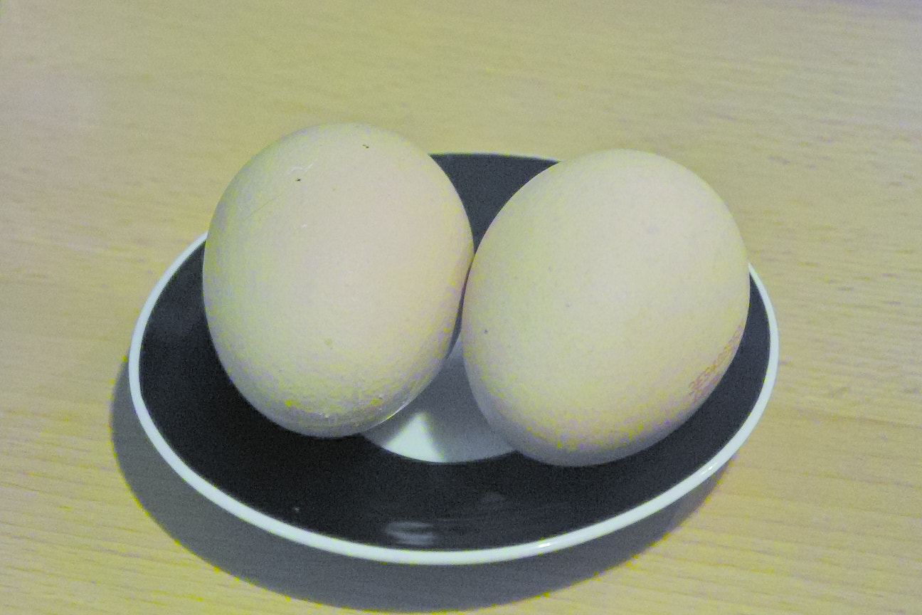 Sigma SD14 sample photo. My eggs photography
