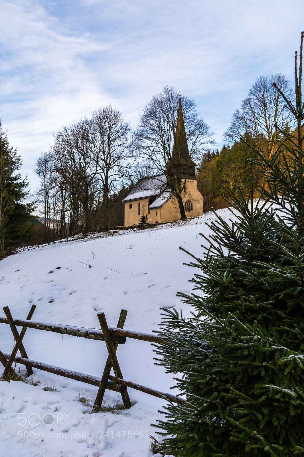 Nikon D7100 sample photo. Black forrest, germany photography