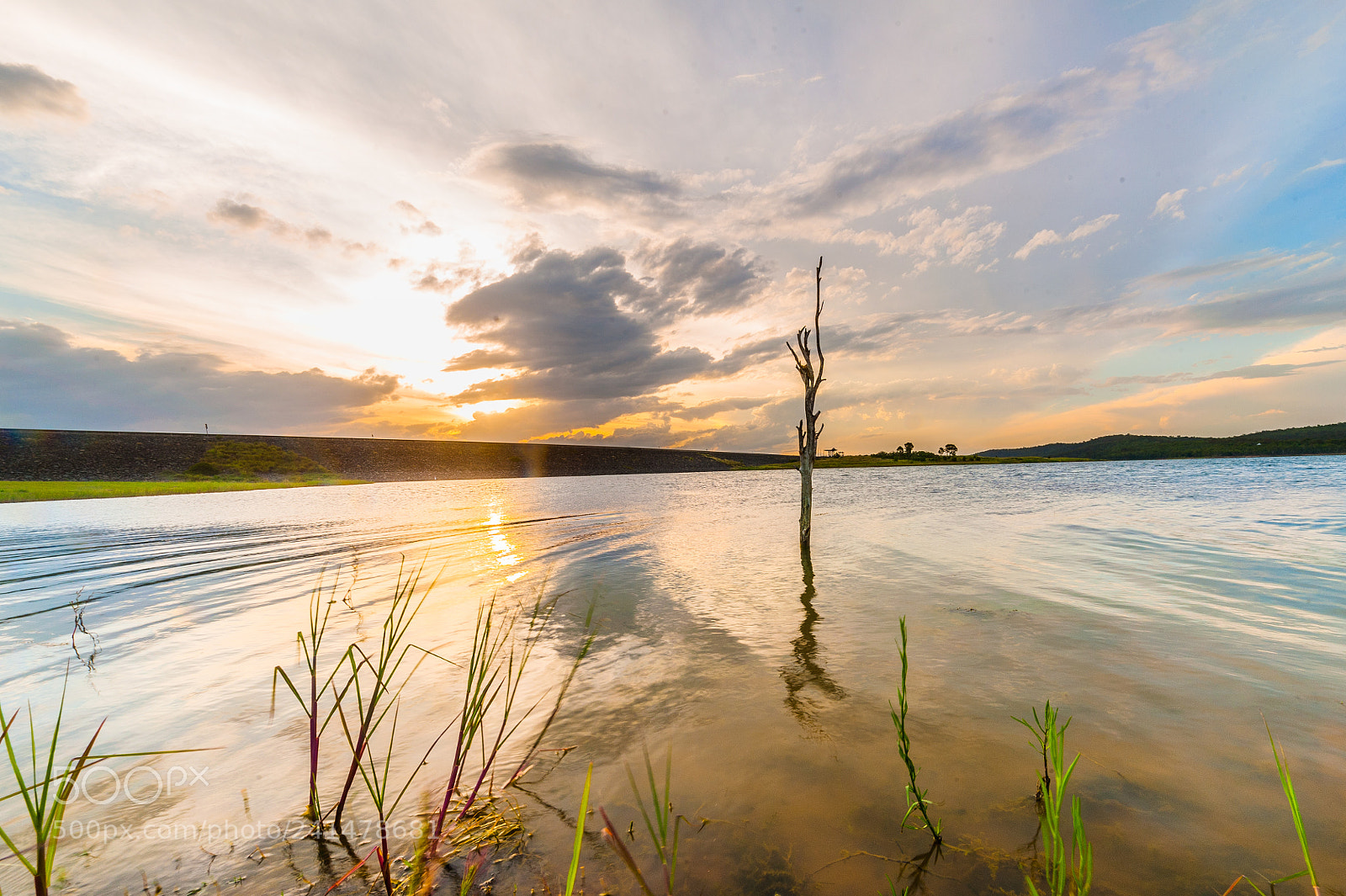 Nikon D700 sample photo. Lake wivenhoe photography