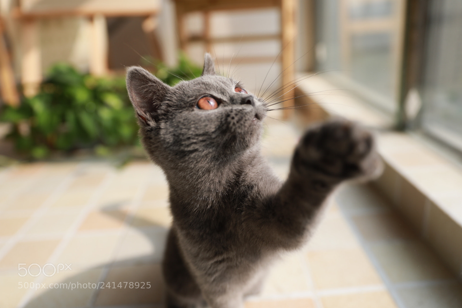 Canon EF 24-70mm F2.8L II USM sample photo. Untitled photography