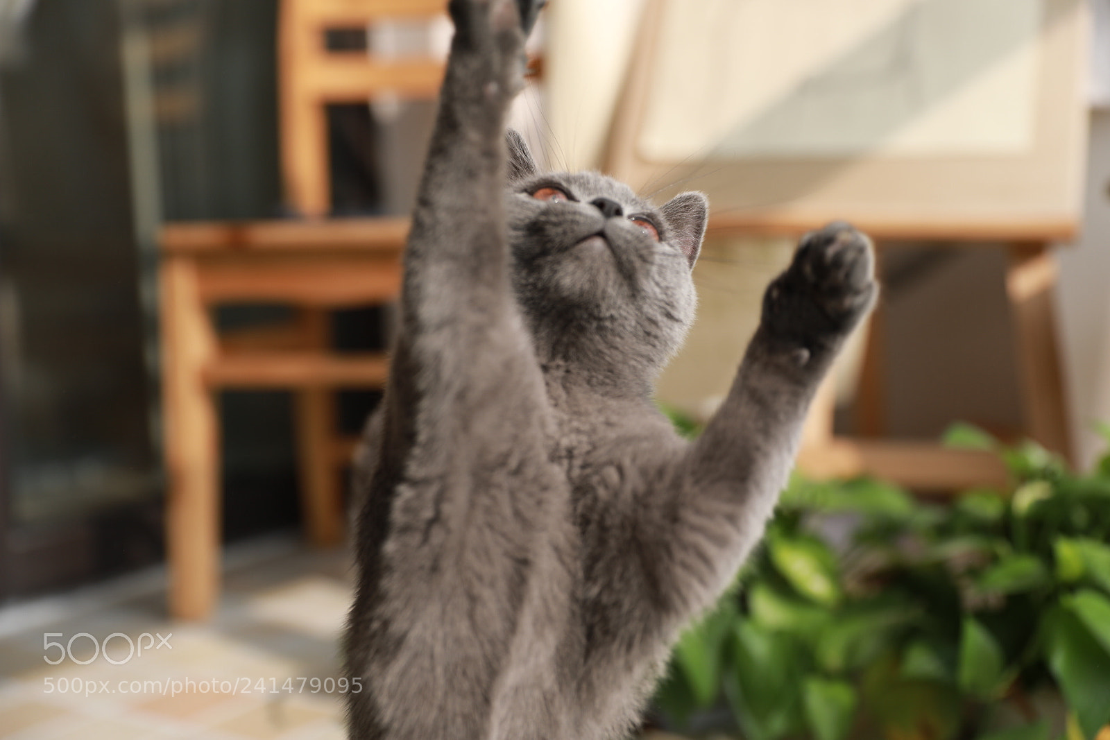 Canon EF 24-70mm F2.8L II USM sample photo. Untitled photography