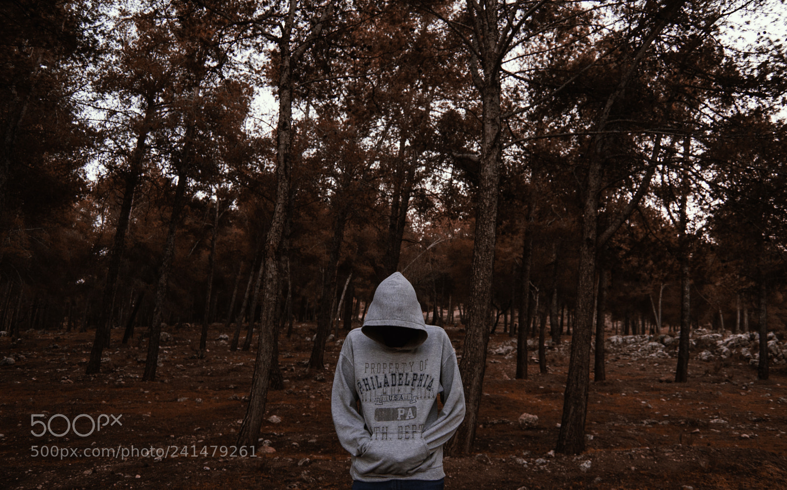 Nikon D3100 sample photo. Help me photography