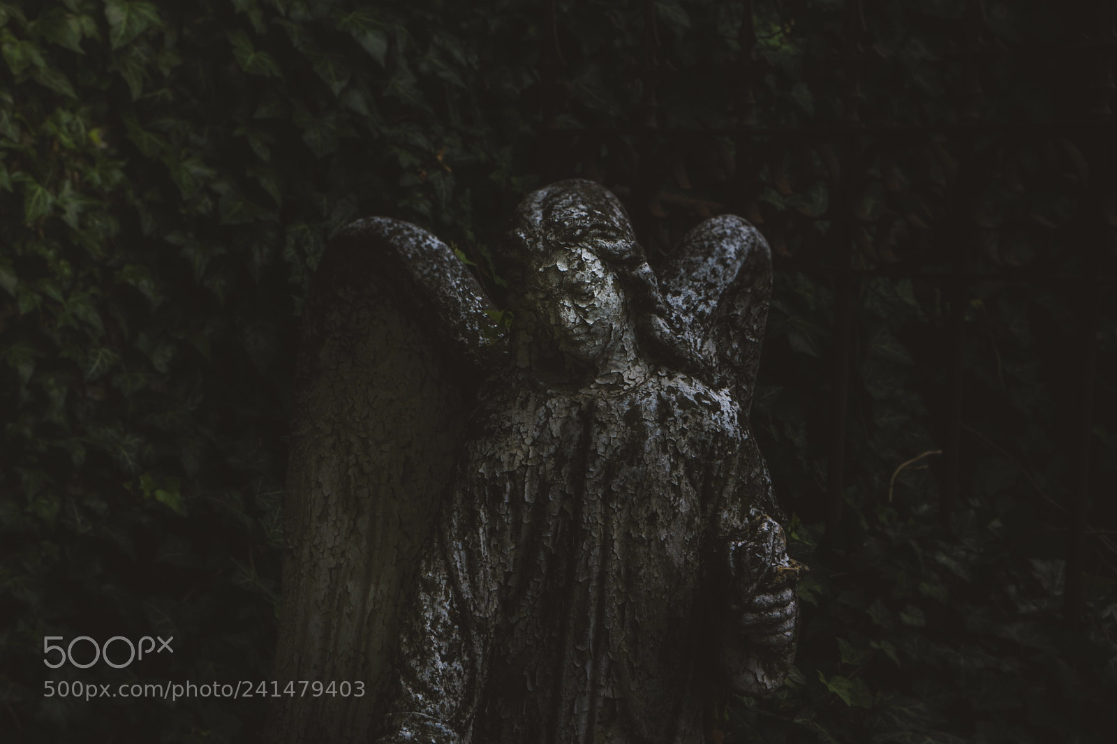 Sony Alpha NEX-7 sample photo. Angel photography