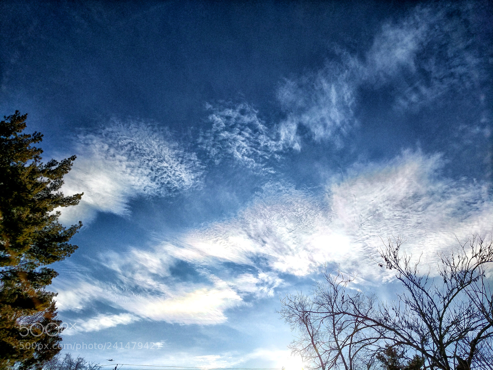 Google Pixel XL sample photo. Clouds trees photography