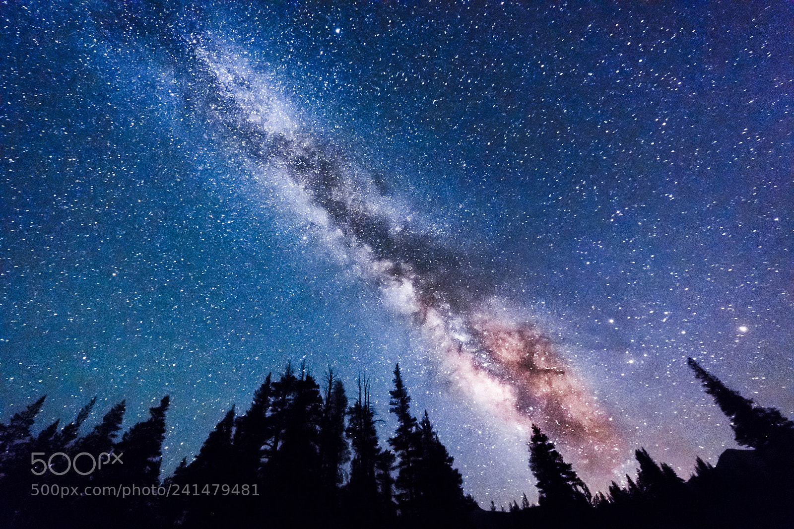 Nikon D500 sample photo. Starry night in yosemite photography