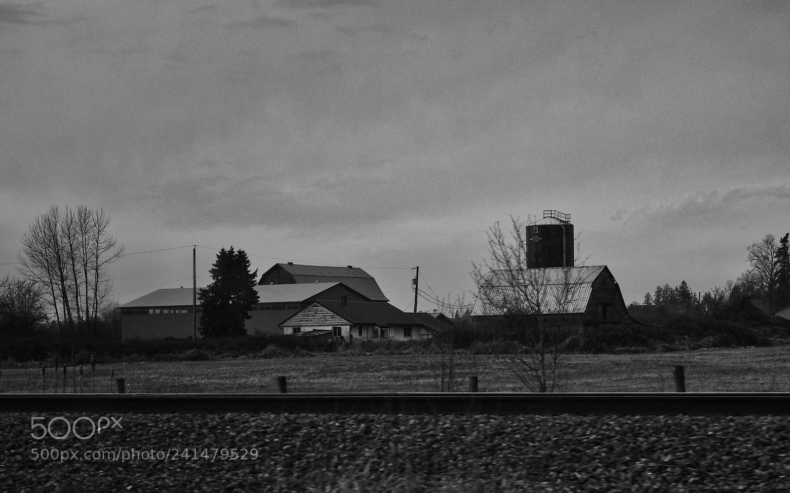 Nikon Coolpix P900 sample photo. Across the tracks photography