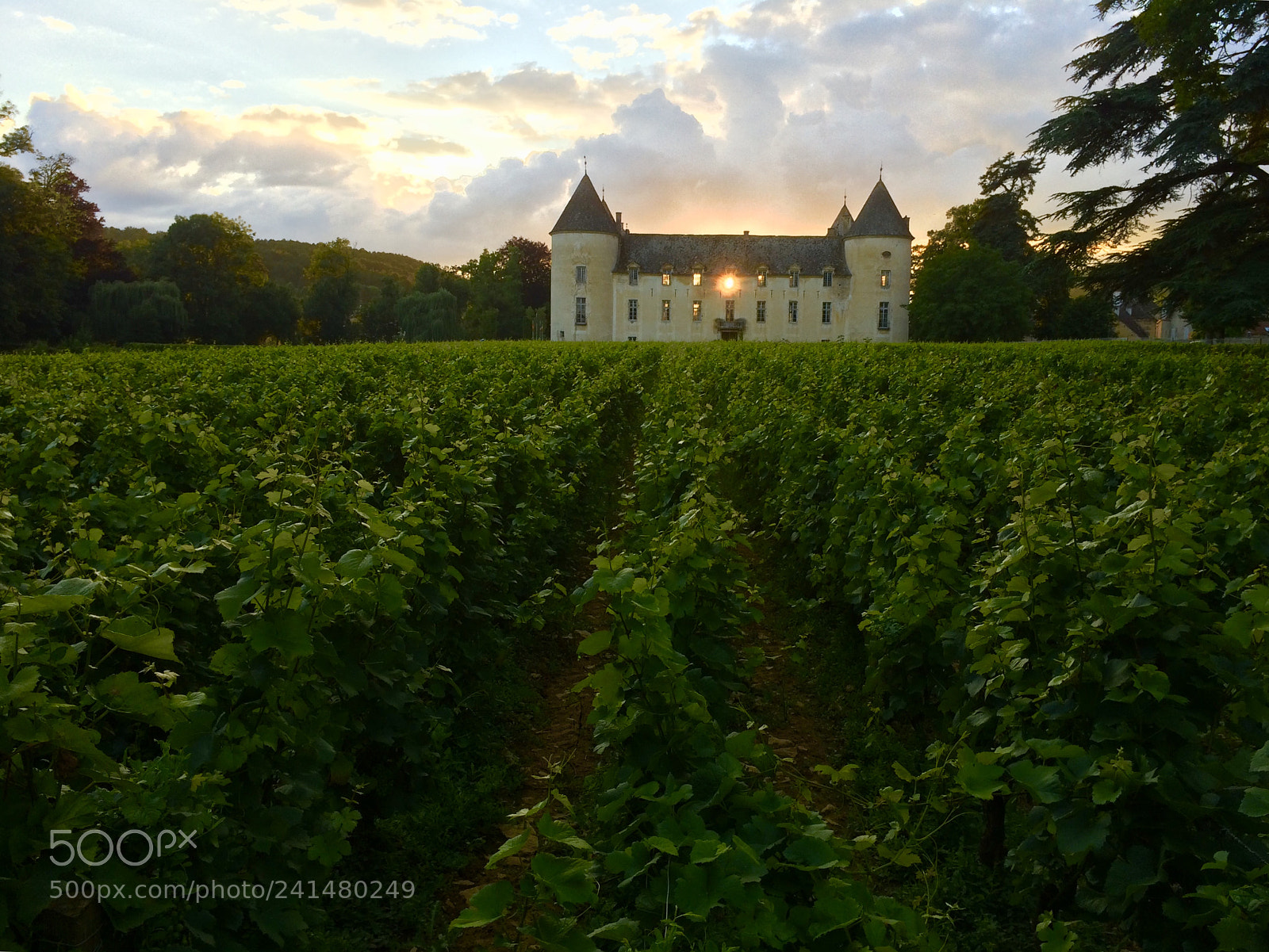 Apple iPhone 5s sample photo. Chateau de savigny-les-beaune photography