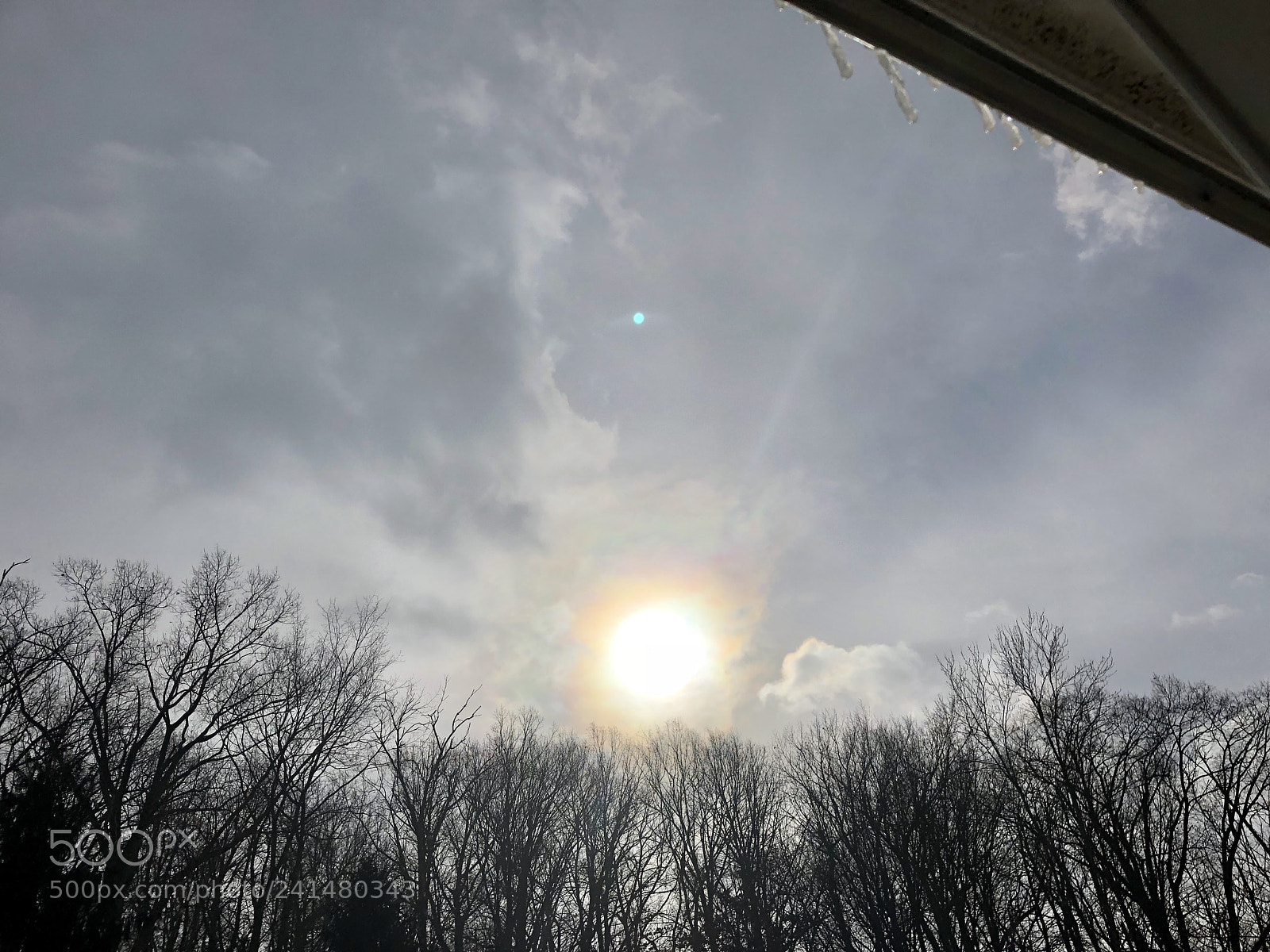 Apple iPhone X sample photo. Untitled photography