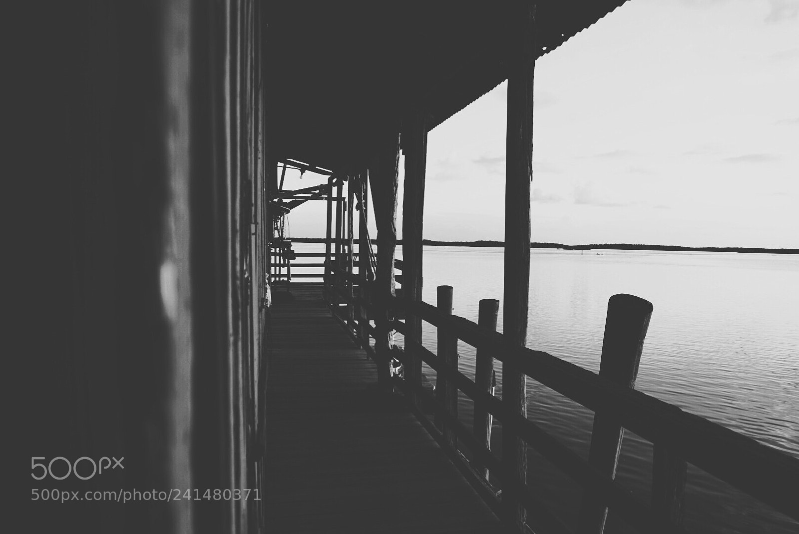 Sony a7 II sample photo. Shelter from the storm photography