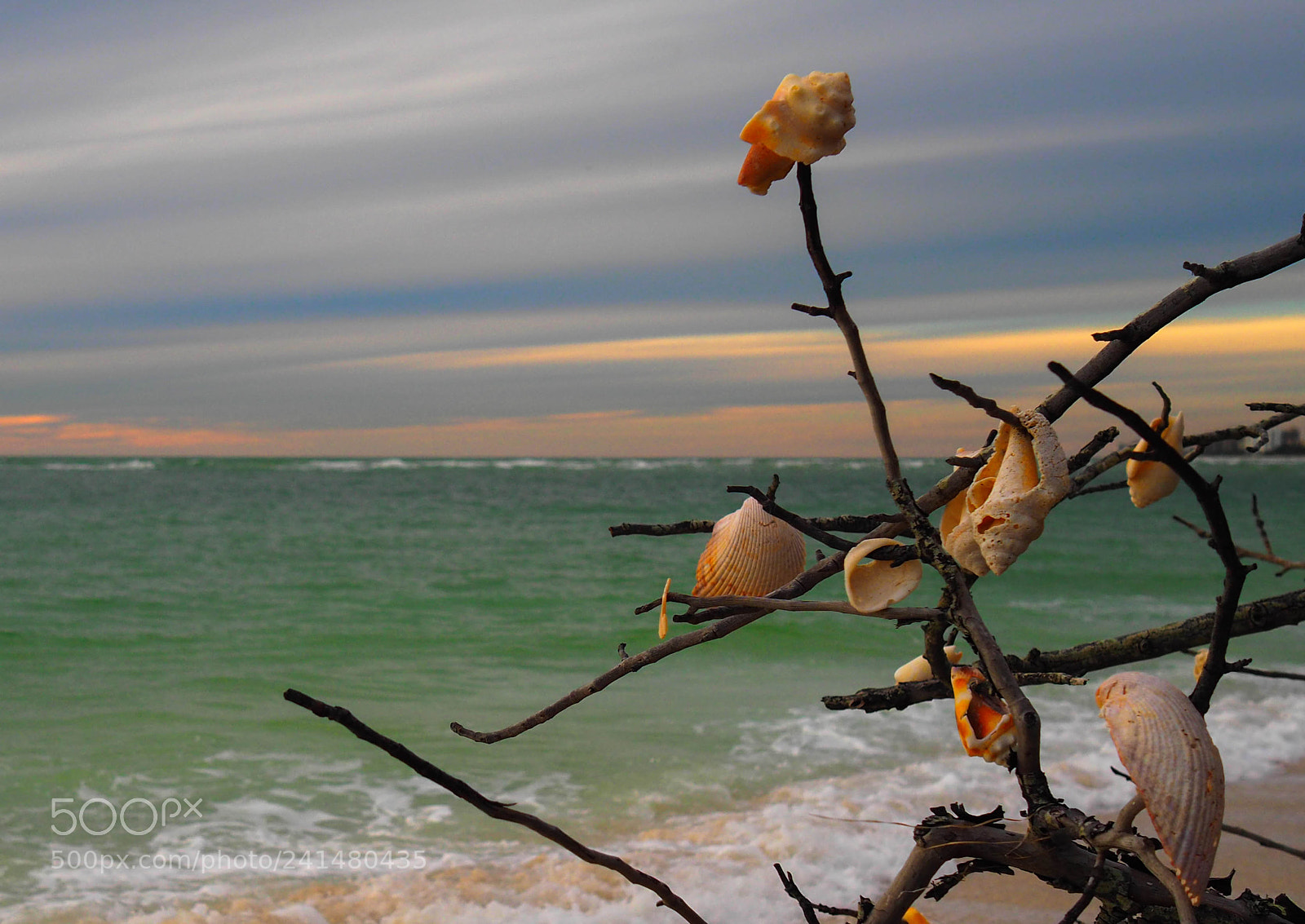 Olympus PEN-F sample photo. So cold the sea photography