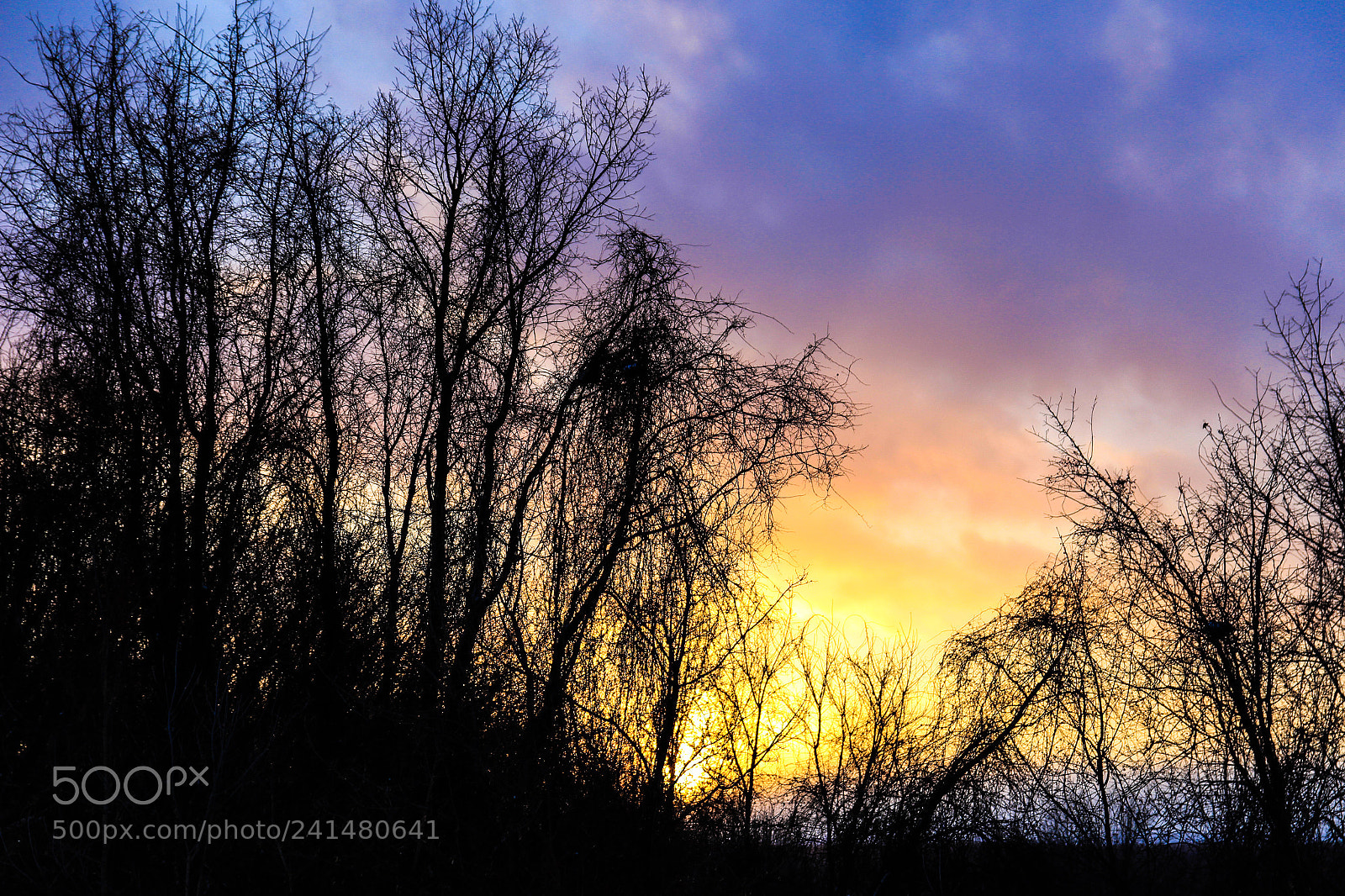 Canon EOS 100D (EOS Rebel SL1 / EOS Kiss X7) sample photo. Purple&orange sunset photography