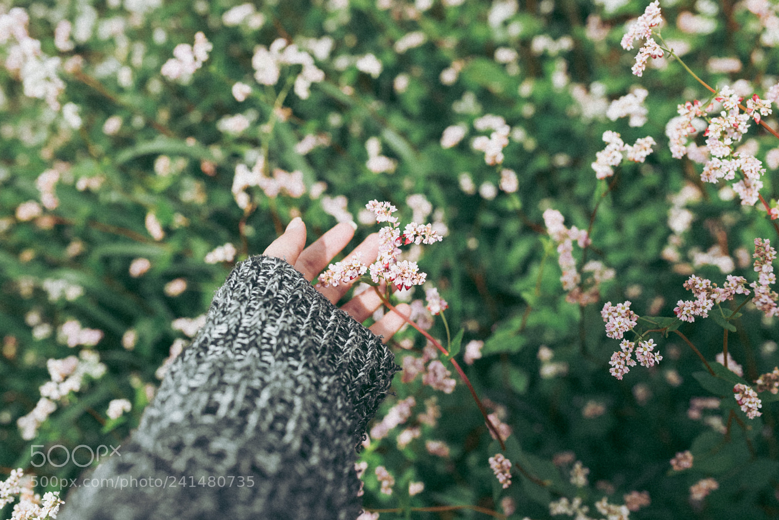 Nikon D600 sample photo. Untitled photography