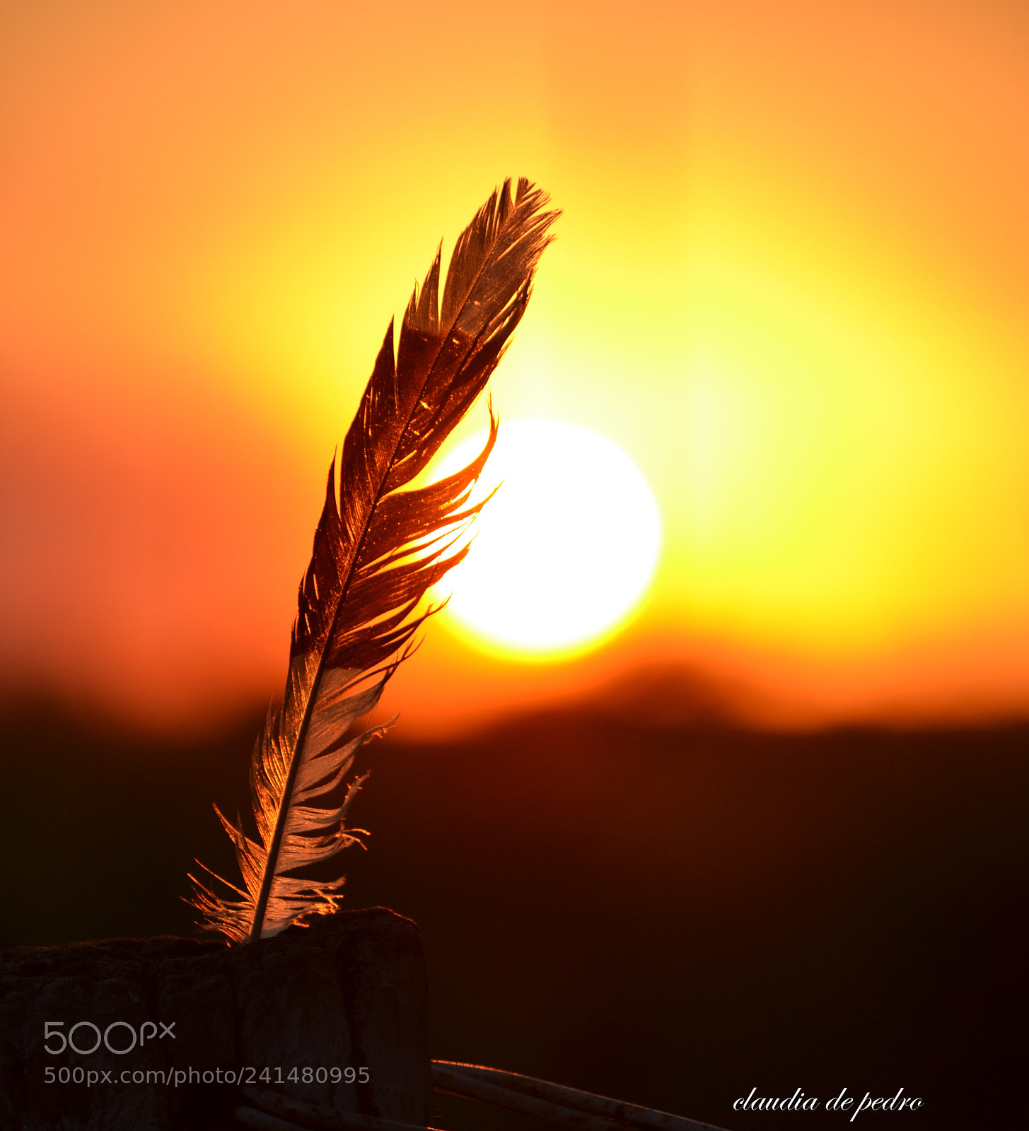 Nikon D3100 sample photo. La  luz del ocaso photography