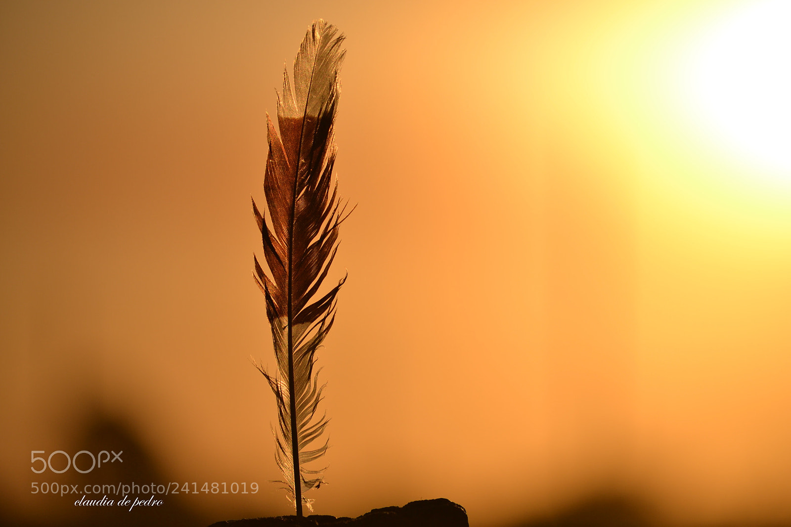 Nikon D3100 sample photo. La  luz del ocaso photography