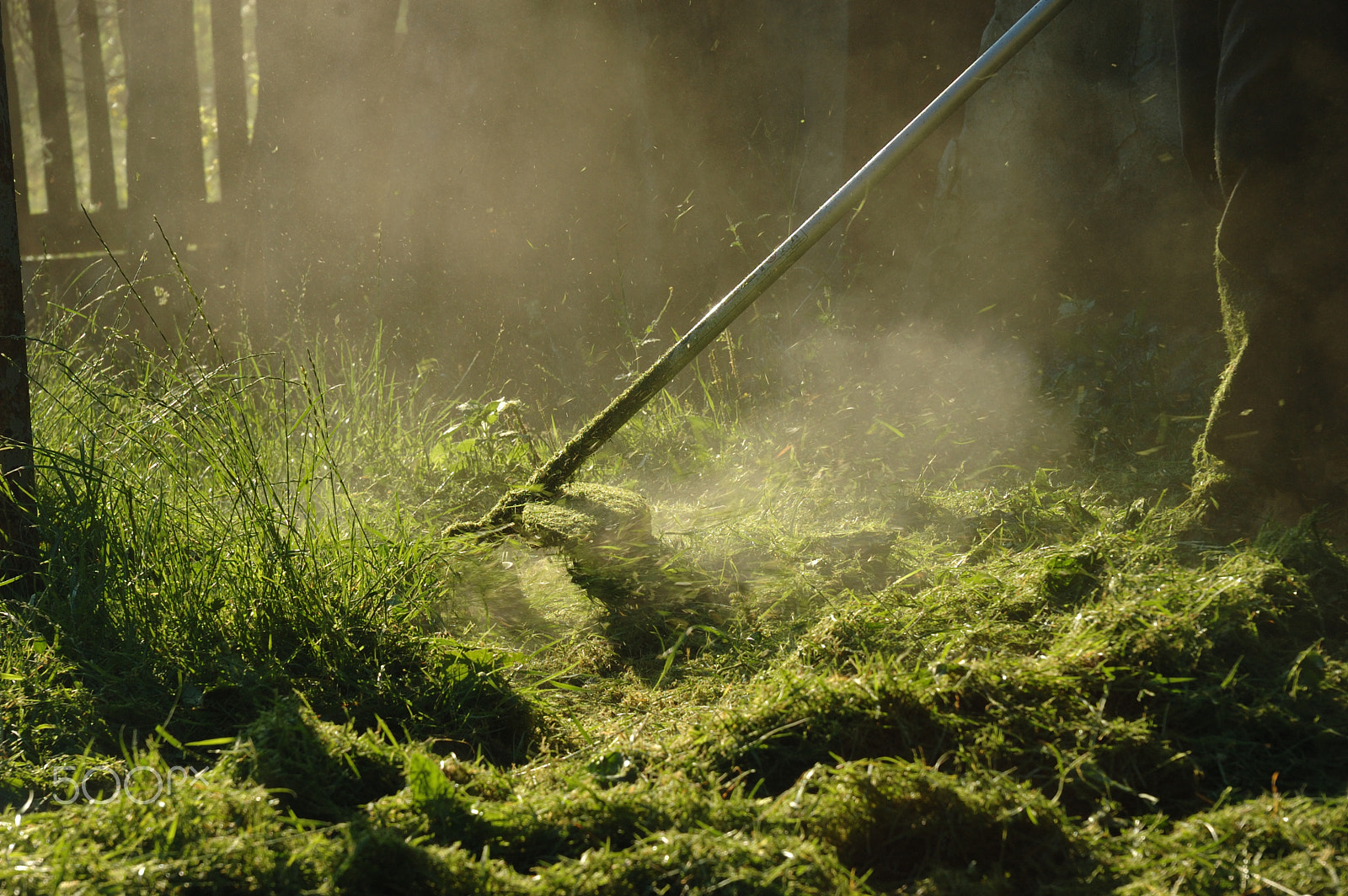 Nikon D70 sample photo. Cutting grass photography