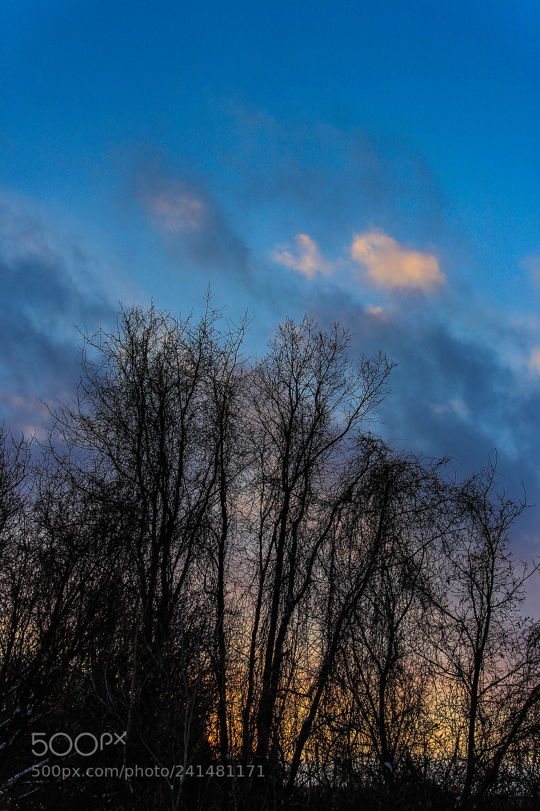 Canon EOS 100D (EOS Rebel SL1 / EOS Kiss X7) sample photo. Sunset among the trees photography