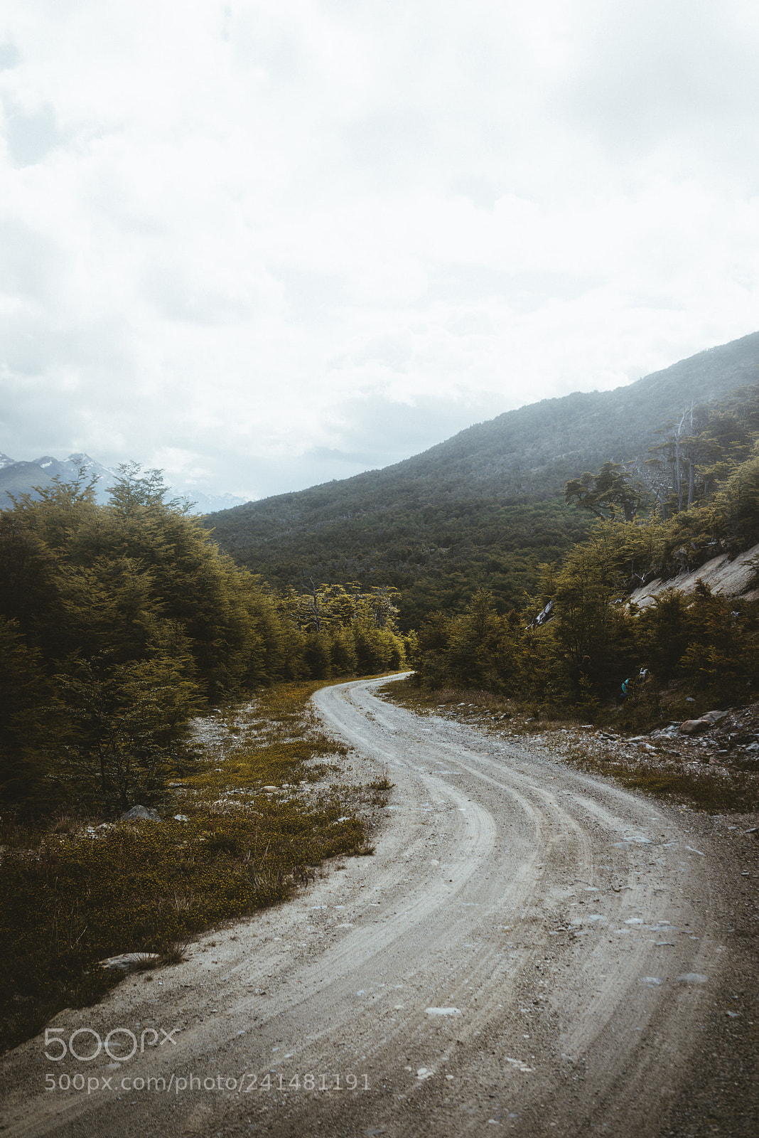 Sony a7R sample photo. A road in the photography