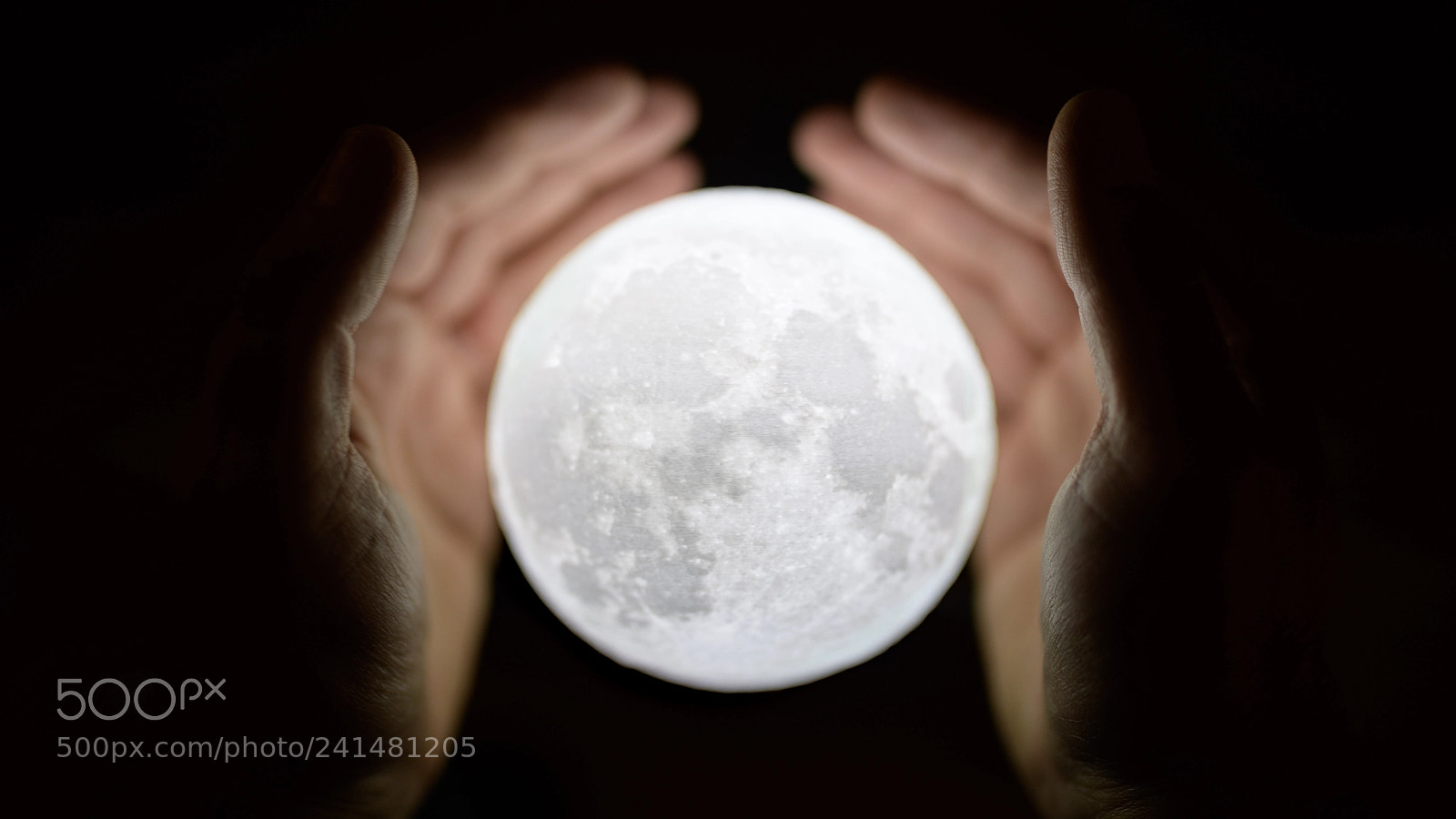 Nikon D850 sample photo. My tiny moon photography