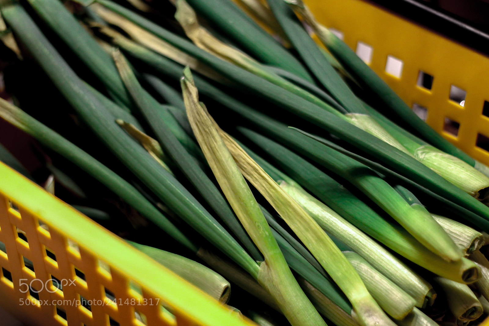 Canon EOS 1100D (EOS Rebel T3 / EOS Kiss X50) sample photo. Onions in a basket photography