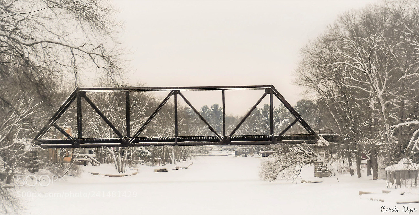 Nikon D5600 sample photo. Train bridge photography