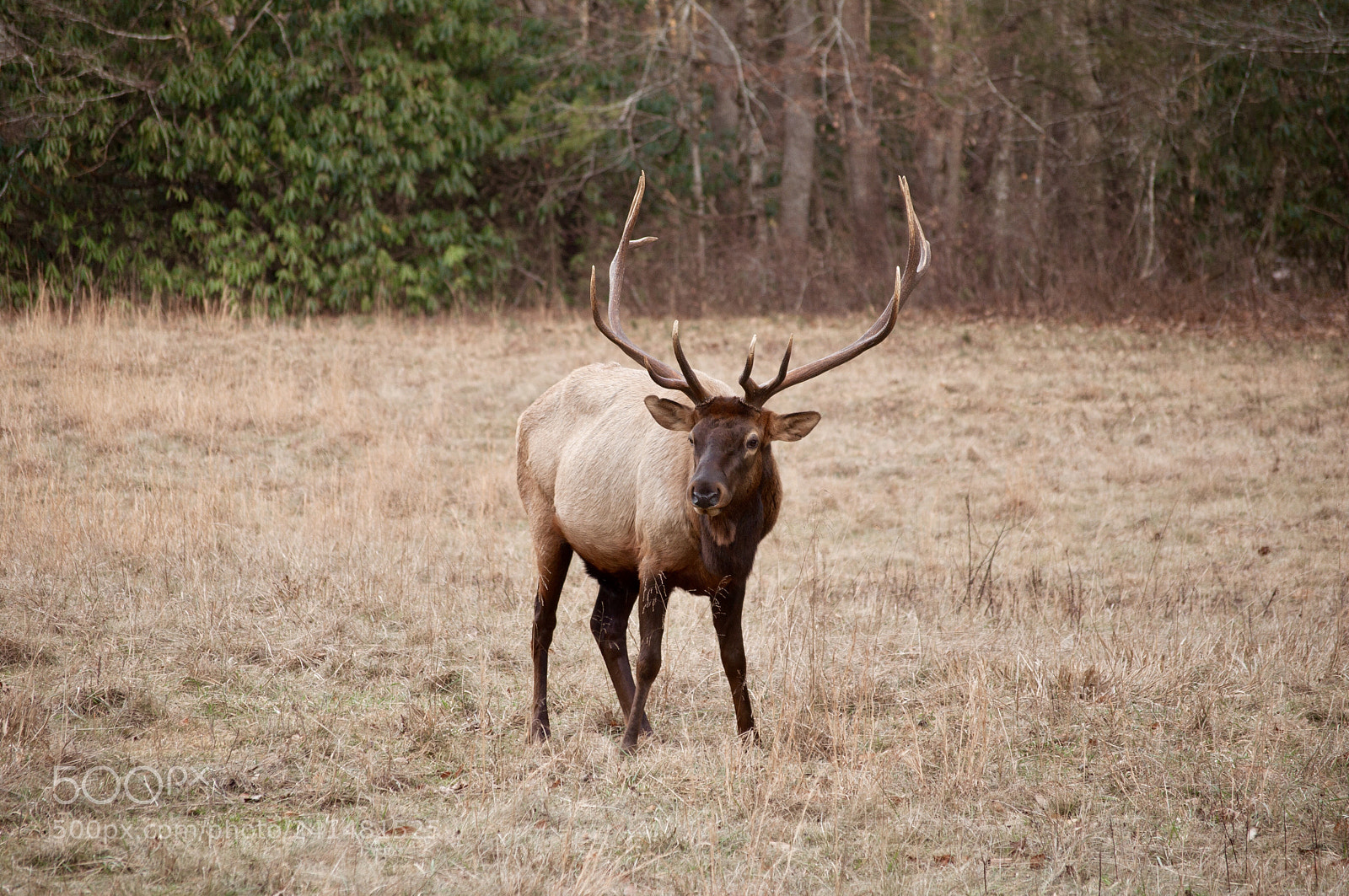 Nikon D90 sample photo. Stay back 50 yards photography