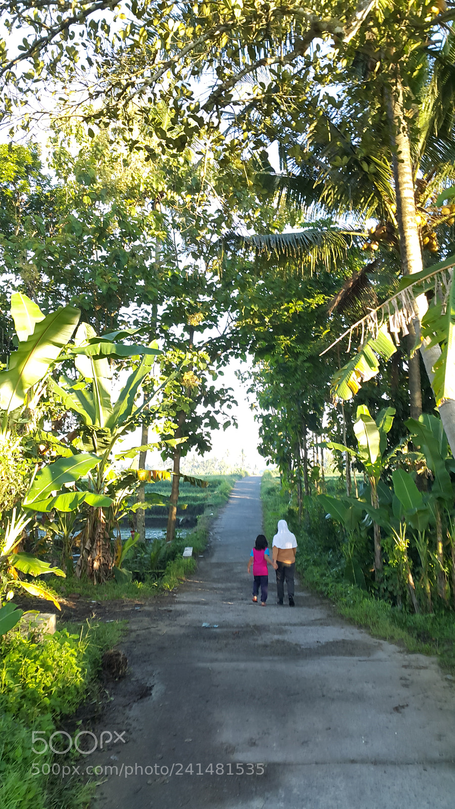 Samsung Galaxy Note4 sample photo. Jogging in the morning photography