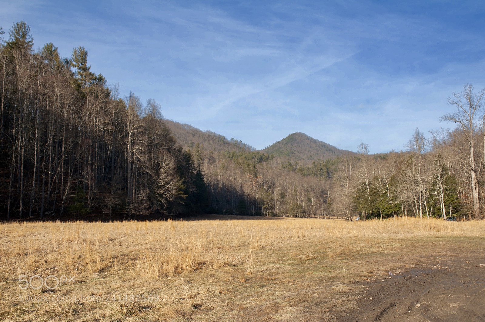 Nikon D90 sample photo. To the distance photography