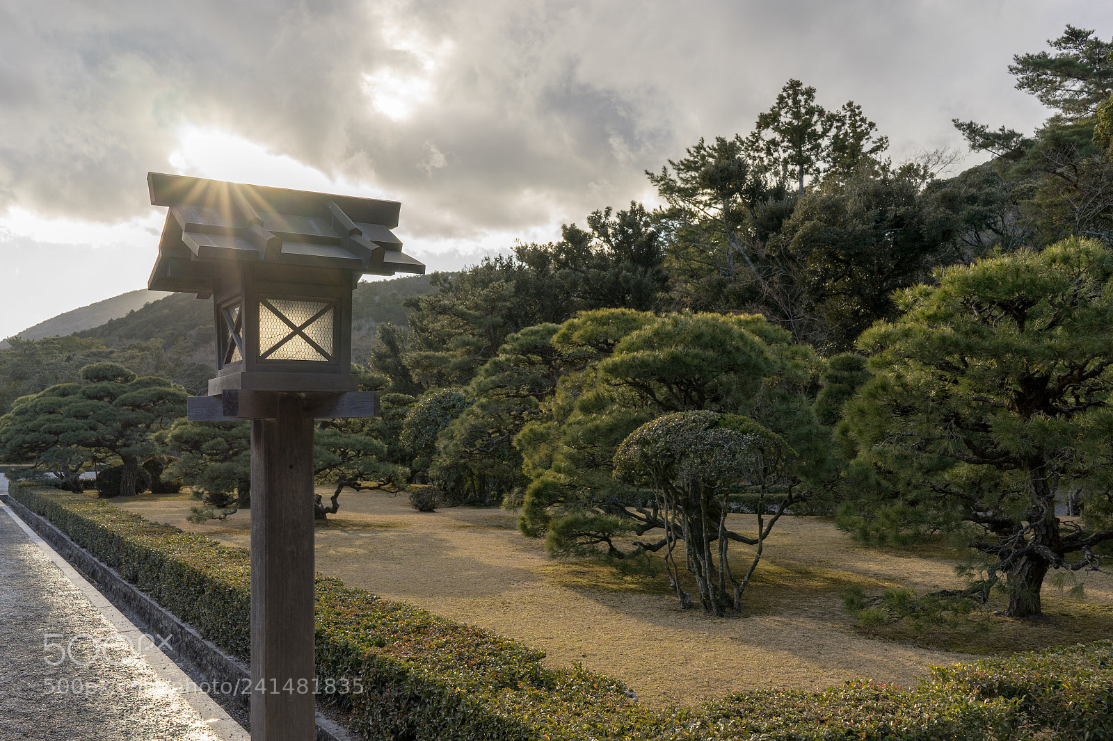 Sony a7 sample photo. Sun breaking through at photography