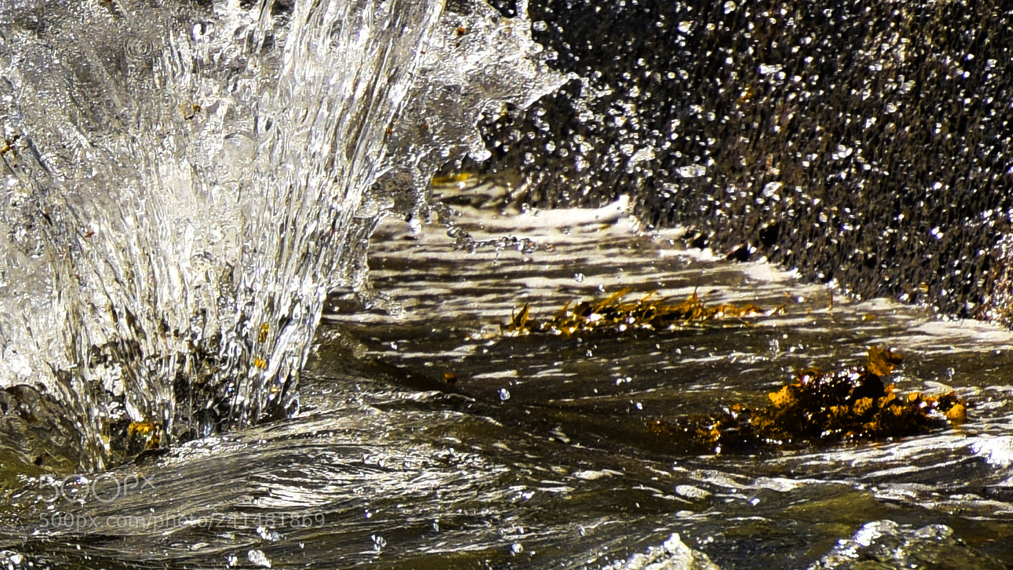 Nikon D810 sample photo. Silver water and gold photography