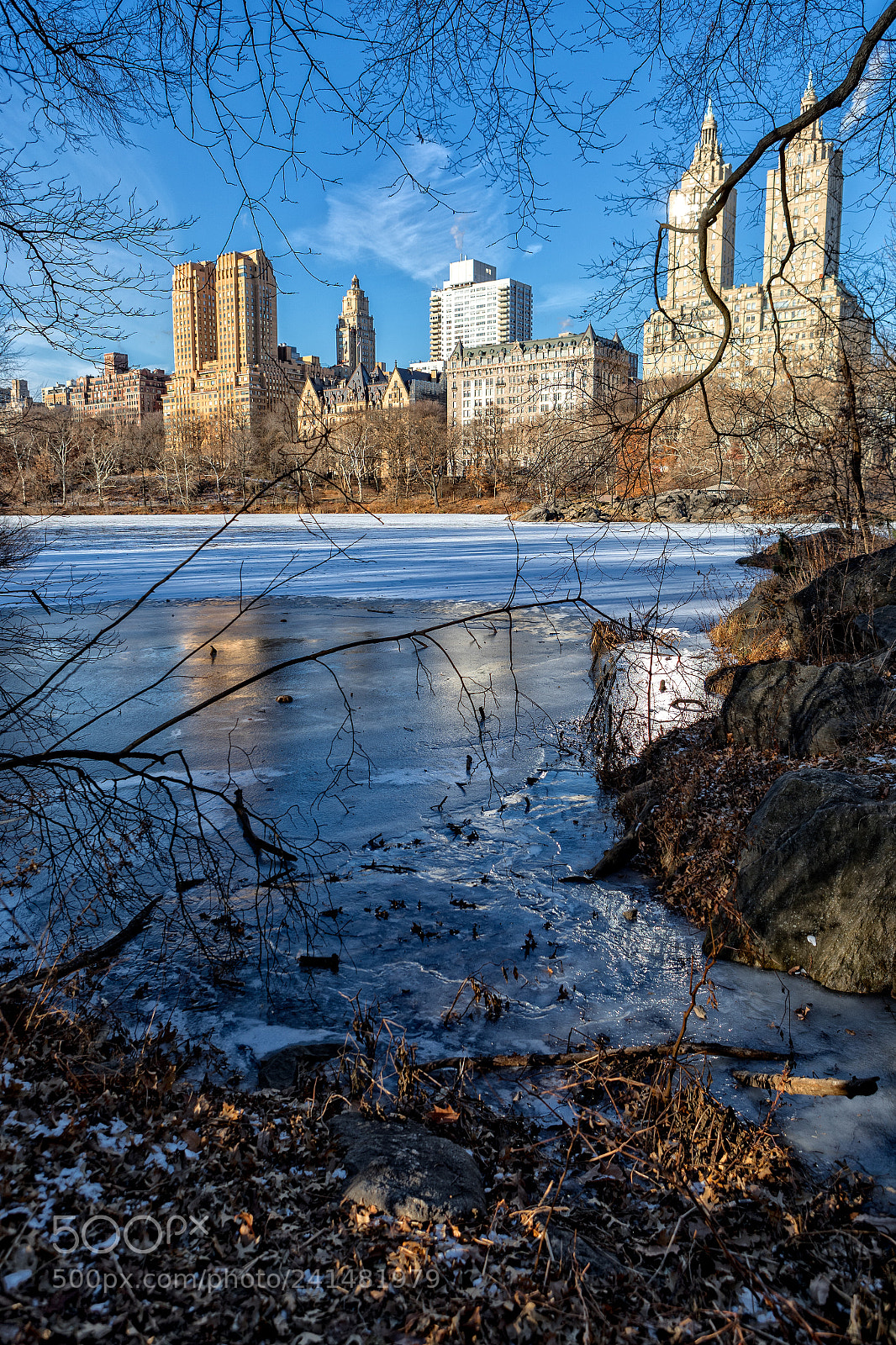 Canon EOS-1D X Mark II sample photo. The iced lake photography