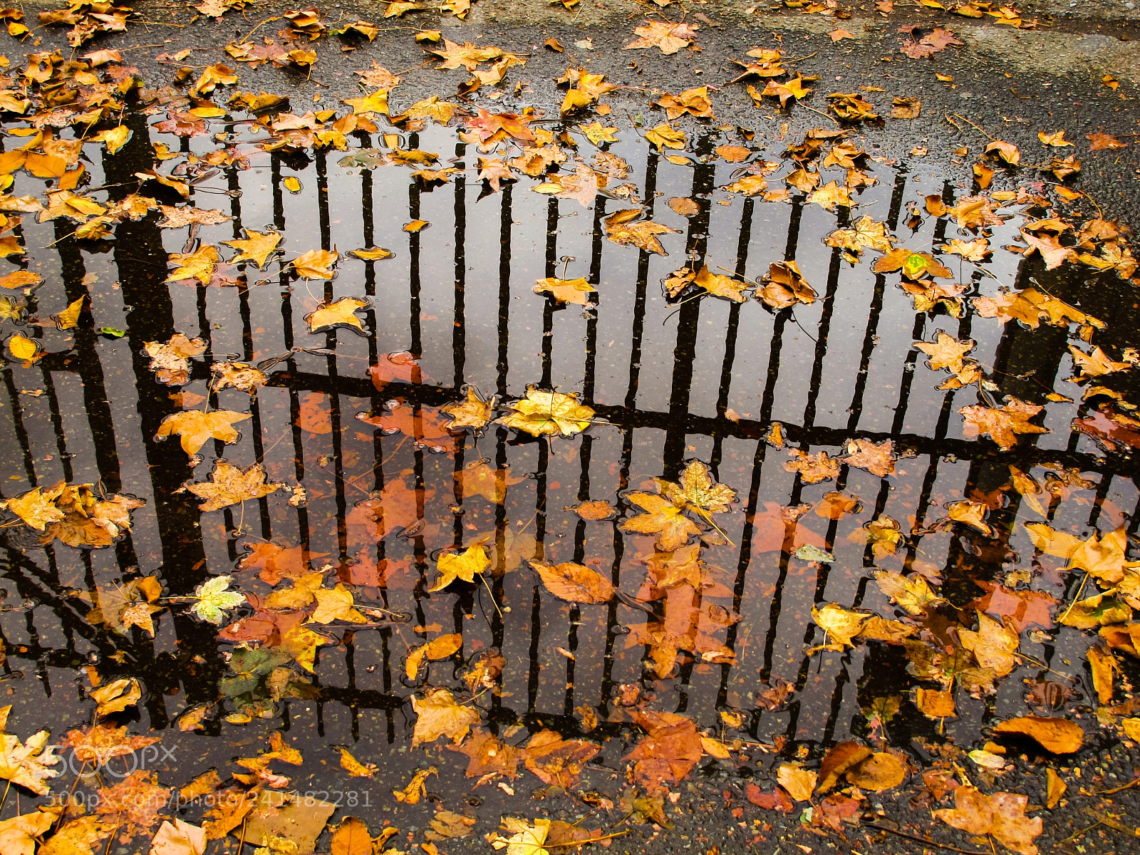 Canon PowerShot G11 sample photo. Autumnal reflection photography