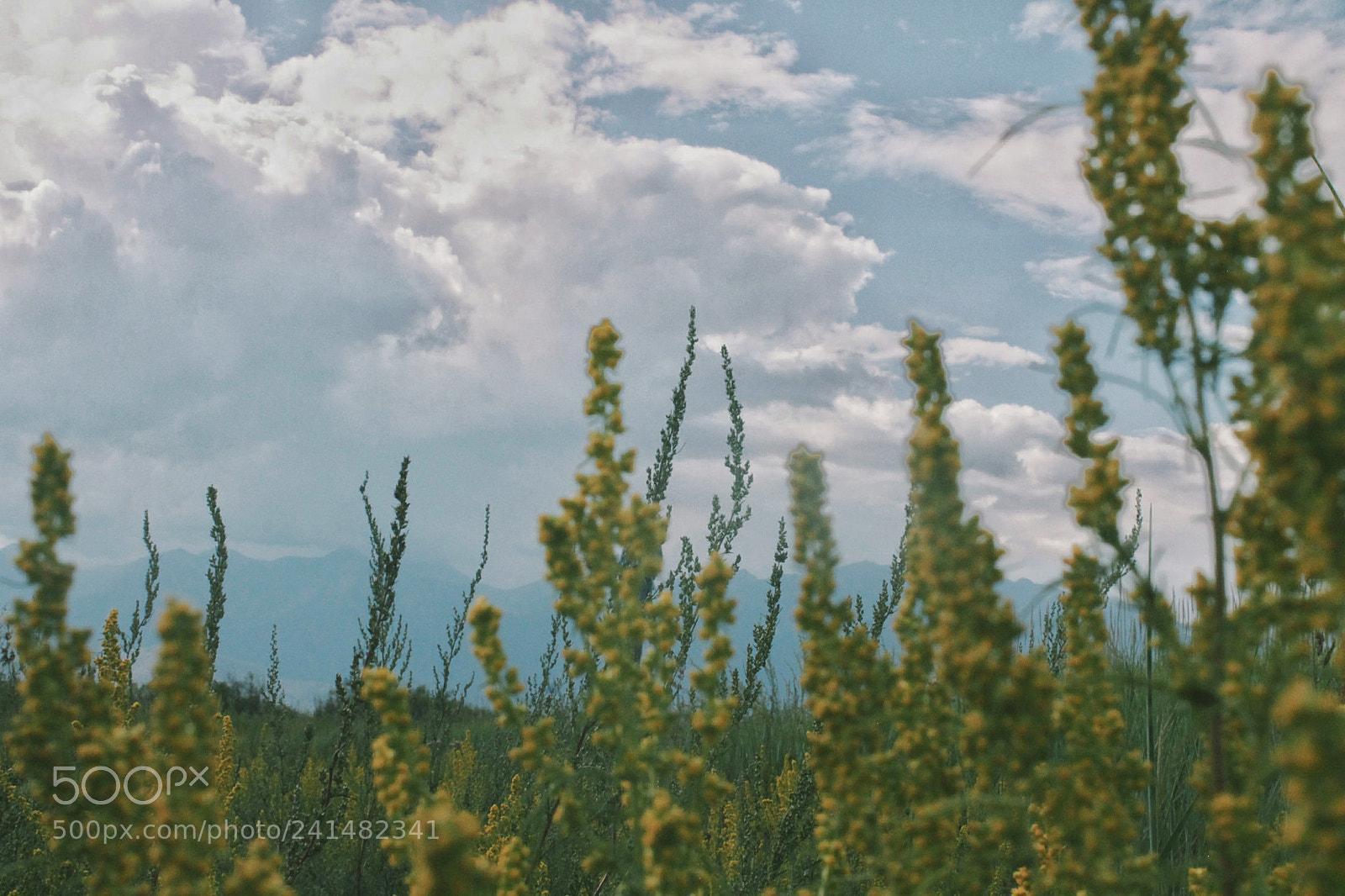 Canon EOS 1100D (EOS Rebel T3 / EOS Kiss X50) sample photo. Republic of buryatia. photography