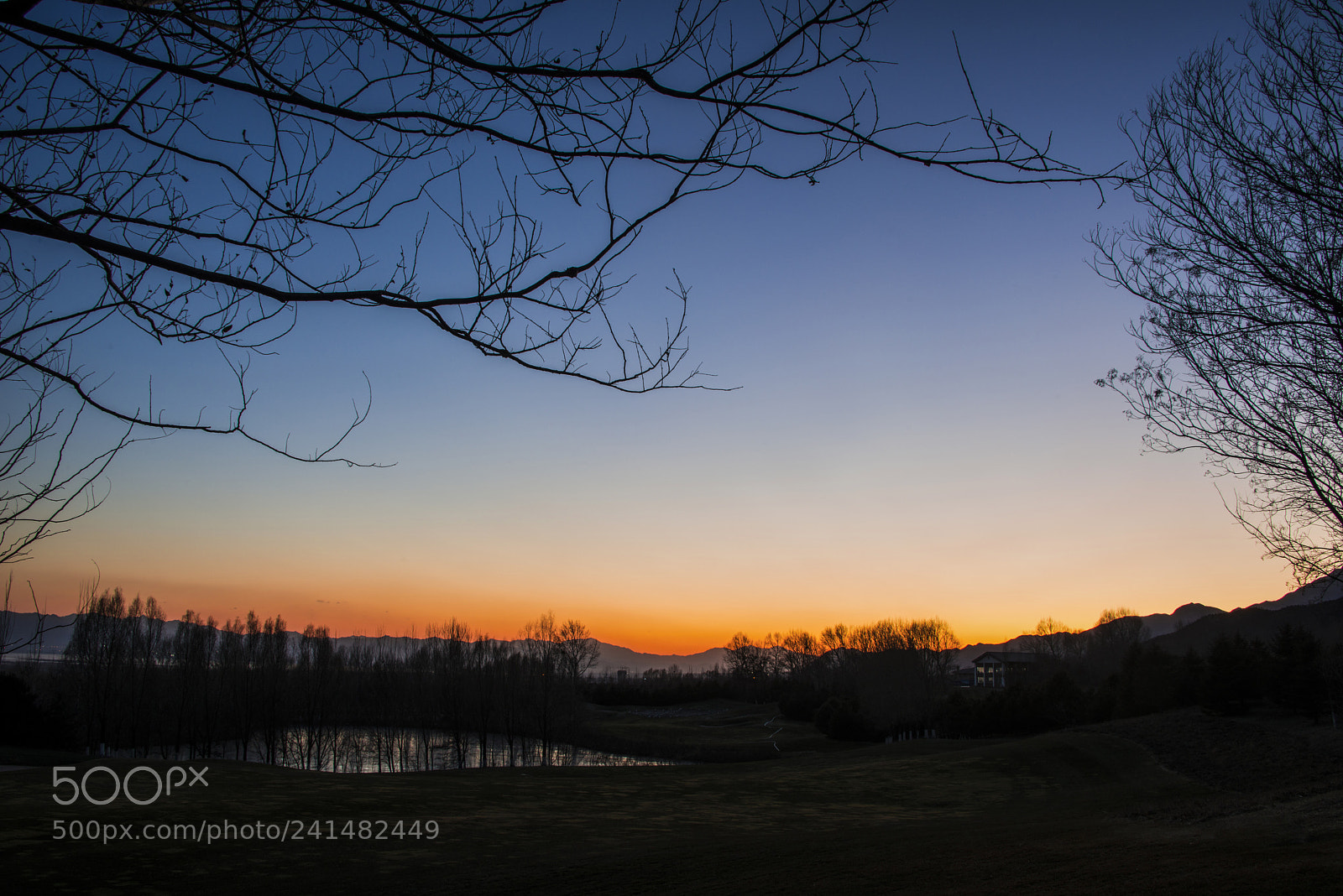 Nikon D800 sample photo. Winter • sunset 04 photography