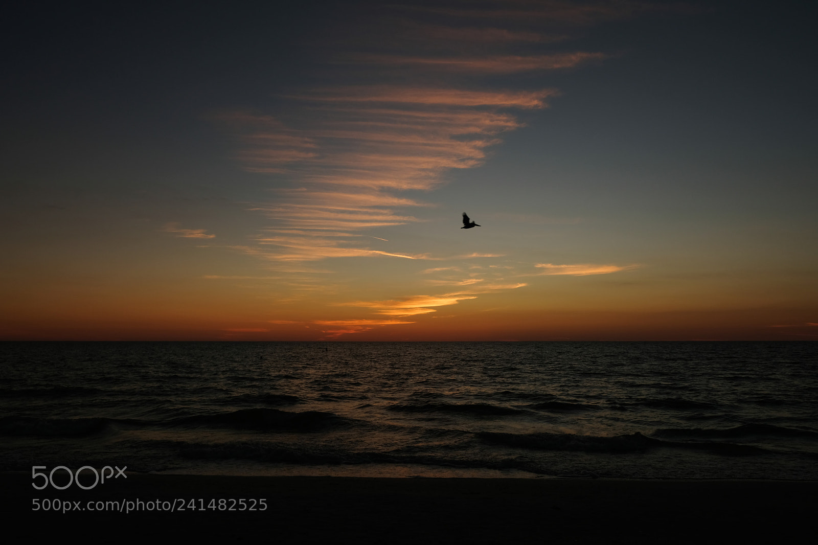 Fujifilm X-E3 sample photo. Bird over ocean after photography