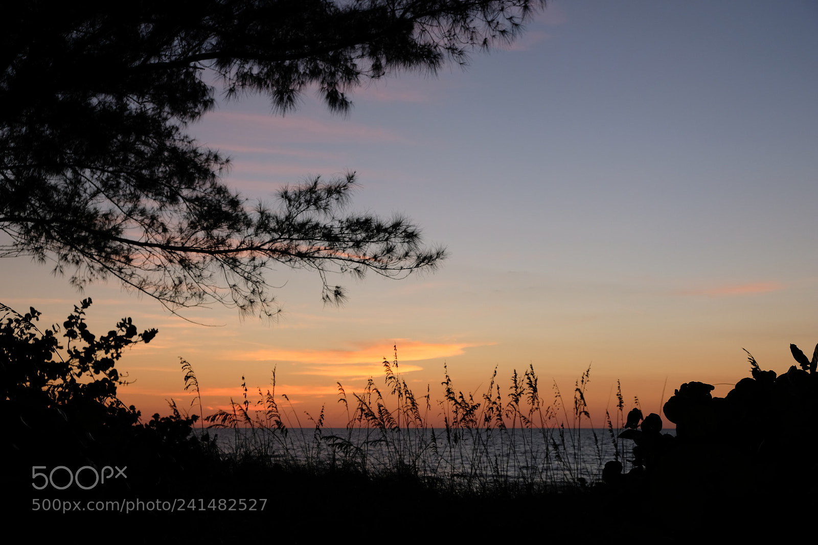 Fujifilm X-E3 sample photo. By sunset photography