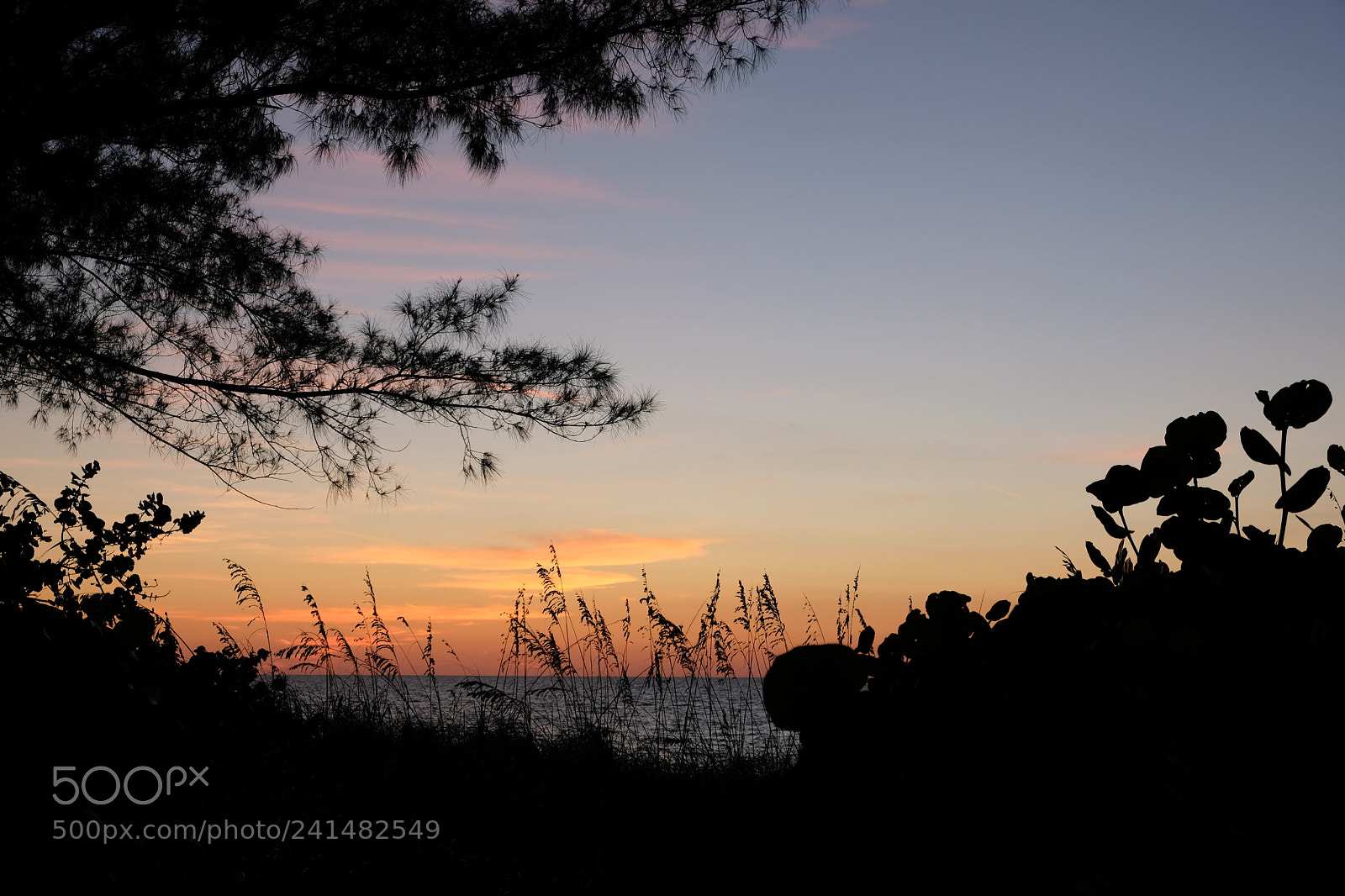 Fujifilm X-E3 sample photo. By sunset photography