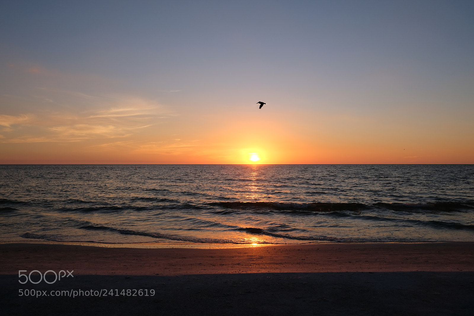 Fujifilm X-E3 sample photo. Bird over sunset photography