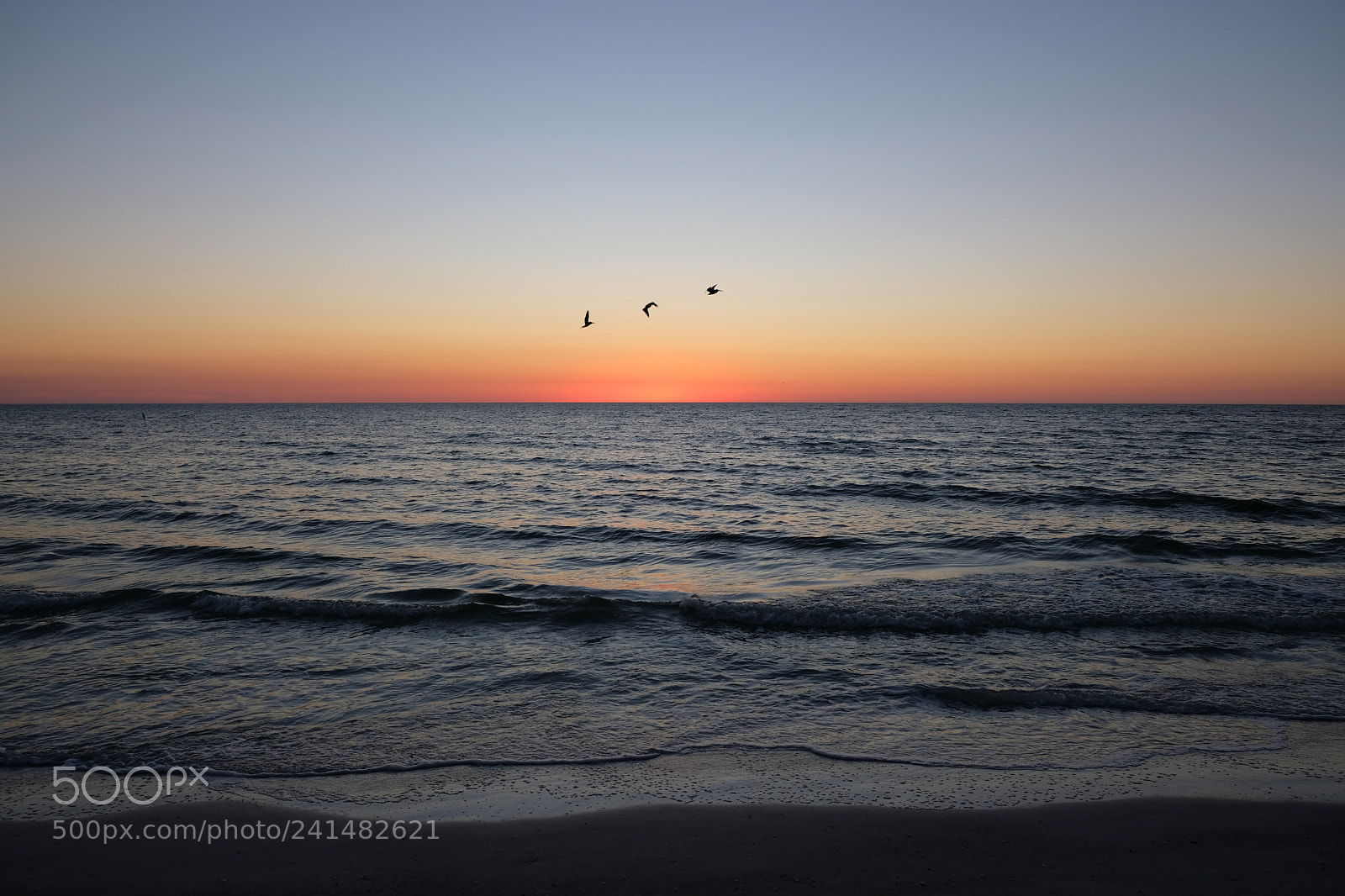 Fujifilm X-E3 sample photo. 3 birds over ocean photography