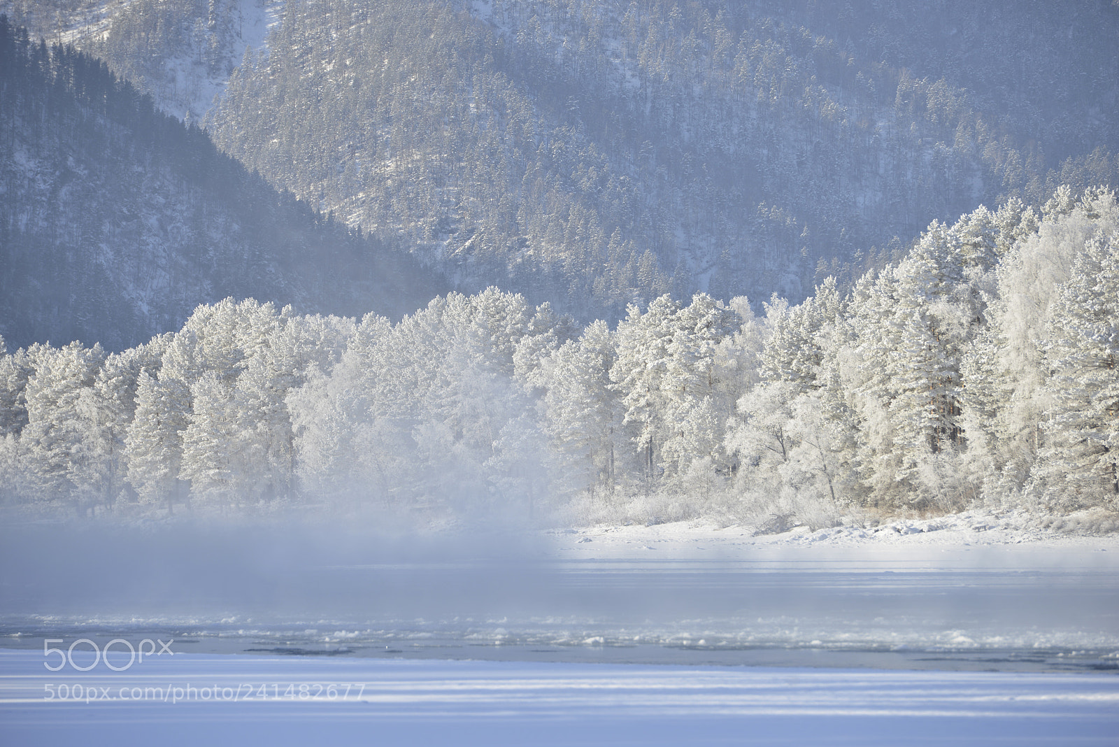 Nikon D800E sample photo. Altai photography