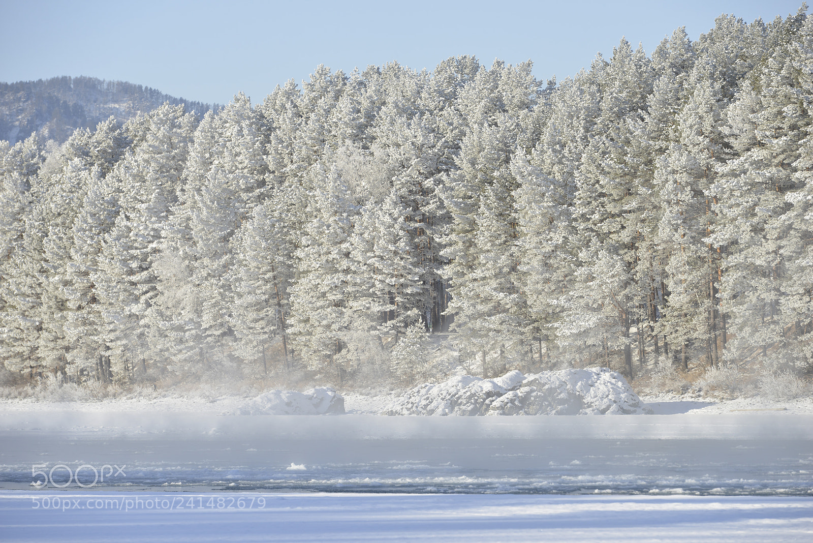Nikon D800E sample photo. Altai photography