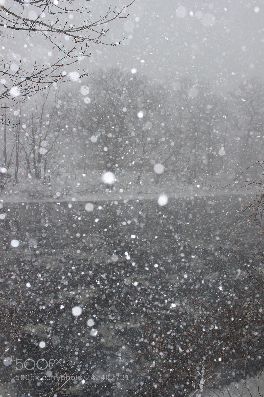 Canon EOS 600D (Rebel EOS T3i / EOS Kiss X5) sample photo. Blizzard 2018 photography