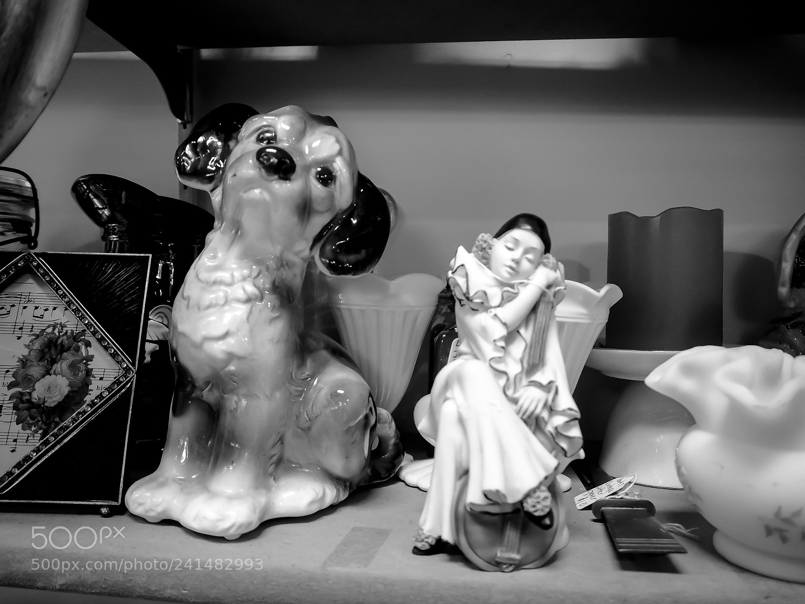 Olympus OM-D E-M10 II sample photo. Faithful companion photography