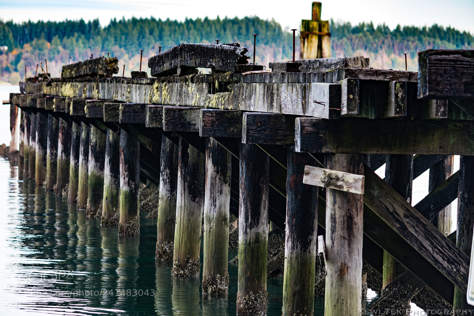 Nikon D5600 sample photo. Dock photography