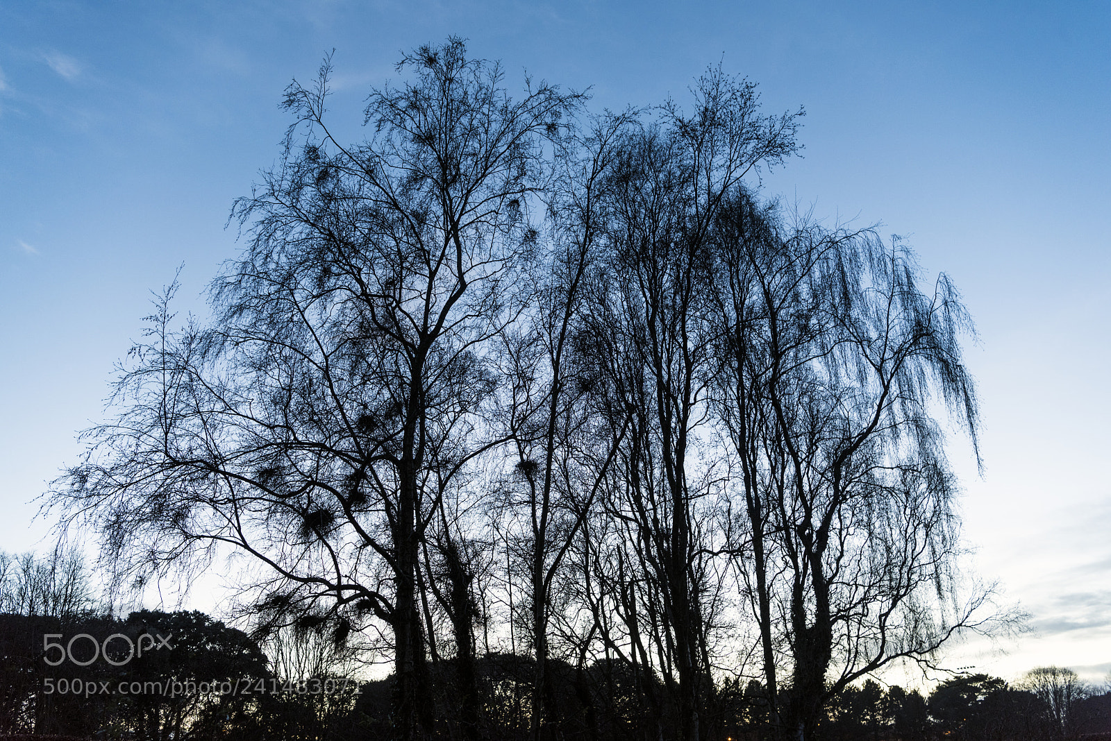 Nikon D810 sample photo. After sunset photography
