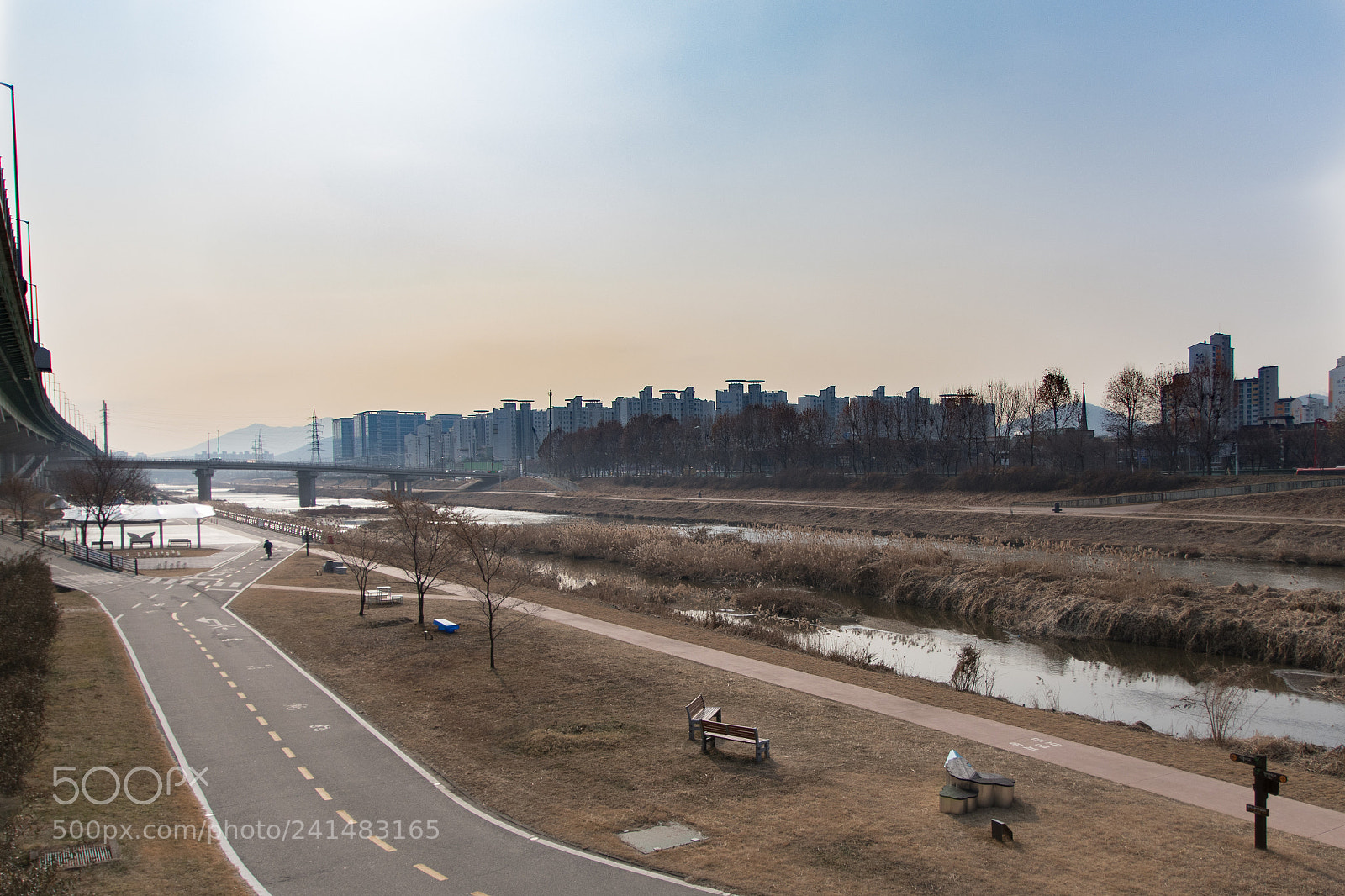 Nikon D7500 sample photo. A peaceful view amidst photography