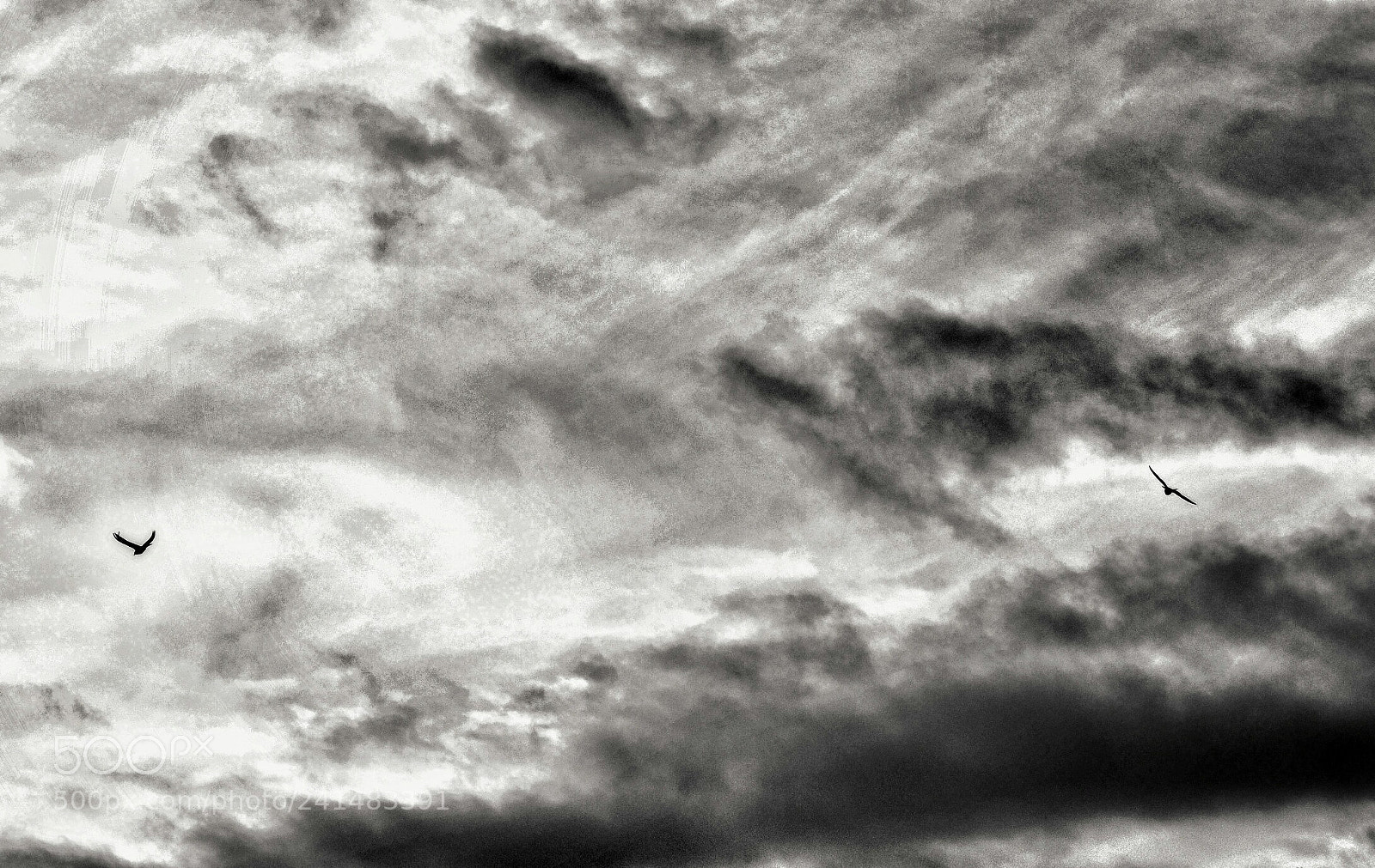 Nikon D3400 sample photo. A little bit stormy photography