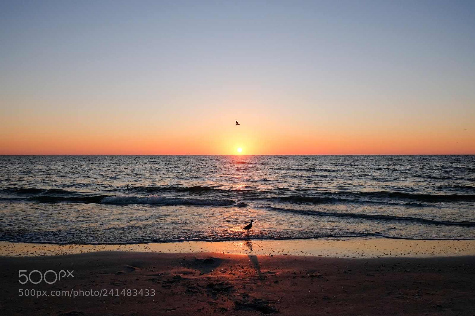 Fujifilm X-E3 sample photo. Birds at sunset photography